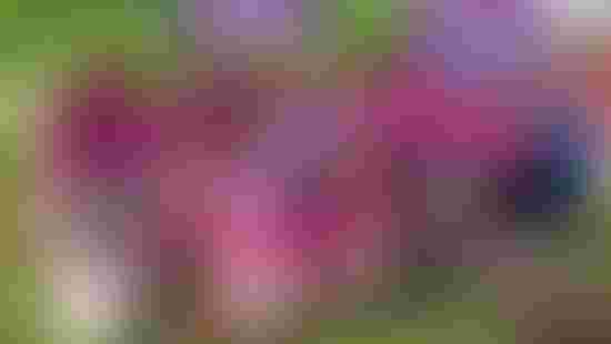 vyber_beh_MOU_2025 (3)